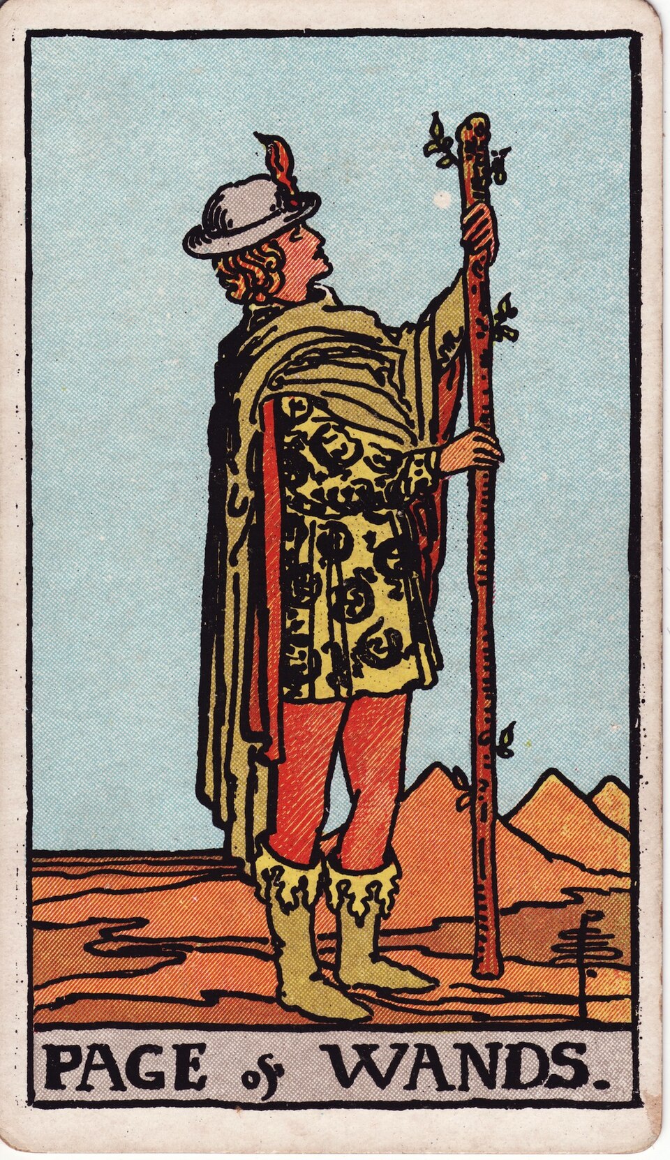 Page of Wands from the Rider–Waite–Smith tarot, 1909, public domain